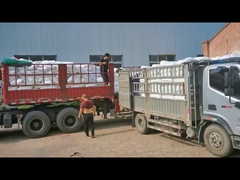 البولي إيثيلين الكلور CPE 135A تعديل تأثير PVC لأنابيب PVC مسحوق أبيض